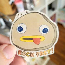 rock fact